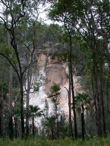 Cliff